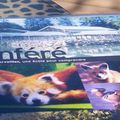 PARC ANIMALIER de BRANFERE (Morbihan)