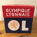 Boîte à mouchoirs pour les 50 ans d'une collègue fan de l'OL