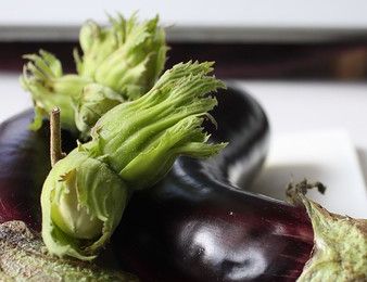 Aubergines Rôties (Balsamique et Huile d'Olive) au Chèvre et aux Noisettes.