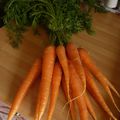 Sauté de boeuf aux carottes nouvelles