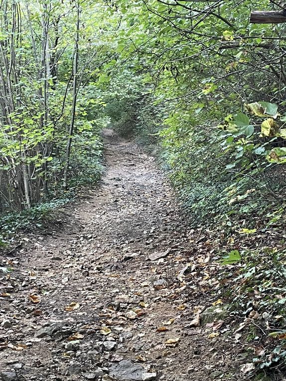 Mercredi 01 octobre 2025 Balade (en date du 27 sept 2025) dans les bois d'Enval jusqu'à la source Marie ,  Initialement exploitée au XIXᵉ siècle pour ses vertus médicinales, La source fut « perdue » vers 1920, puis retrouvée en 1999, Un aménagement (pompe à bras, restauration partielle) a été mis en place après sa redécouverte, le retour harde pour moi mais j'ai poursuivi  au village