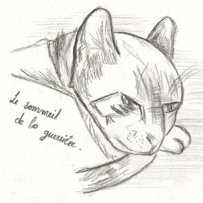 Le sommeil de la guerrière