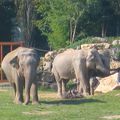 En visite au parc zoologique : Le Pal 