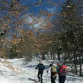 Rando Raquette Vercors - Plateau de Sornin (Engins)