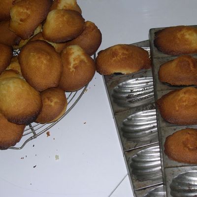 Les madeleines