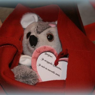 De retour en fêtes!