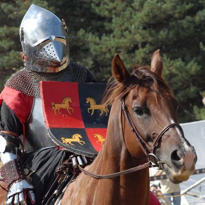 Médiévales internationales de Saint-Colomban 2010