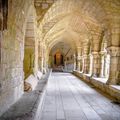 Tombeau d'Aénor de Chatellerault mère d'Aliénor d'Aquitaine Abbaye saint-vincent Nieul sur l'Autise 