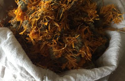 Hydrolat de fleurs de Calendula 