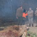 Chasse du 8 janvier 2012