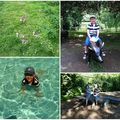 Nos vacances britanniques: promenade au parc animalier et petite pose au bord de l'eau
