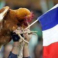 ALLEZ LES BLEUS!!!!!!!!!!!!!!