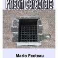 Prison cérébrale de Mario FECTEAU 