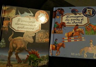 nos nouveaux tests Fleurus