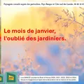 Le mois de janvier repos du jardinier ?