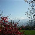 Printemps au clos des capucins