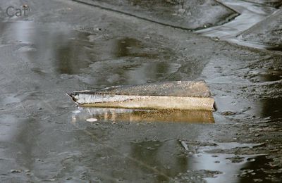 Jeu de glace