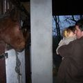 Quand choupy rencontre un cheval 