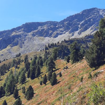 Le jardin japonais à Nendaz...