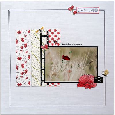 Rouge coquelicot