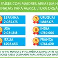 Agronegócio: Brasil é apontado como líder do mercado de orgânicos da América Latina