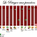 20 MAI...Même si les pommes de terre ne sont pas plantées...INUTILE de déprimer...