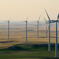Éoliennes : cimetière de l'écologie