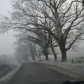 ambiance hivernale ; au programme :escapade