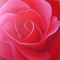 Rose rouge géante