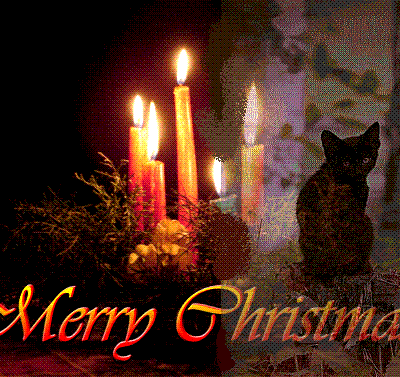 Joyeux Noël félin