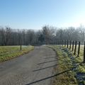 LES MATINS D'HIVER...