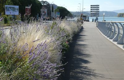 SUR LES BORDS DU RHONE...
