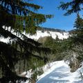 Weekend Raquette Club Rando - Traversée de Charande (Les Aigaux en Vercors)