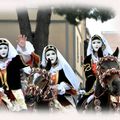 Programme SARTIGLIA 2013