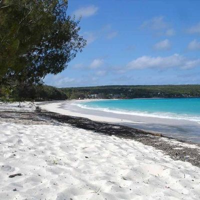 Des ptites nouvelles