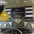 "Anniversaire Surprise" pour ma Céline