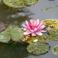 Jardin japonais Albert Kahn