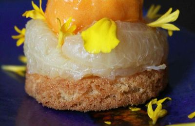 Sablé Breton en tartelette, aux suprêmes de pomelo et sorbet mangue-melon