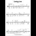 Martin Destroy - Careless love (アコーディオン)