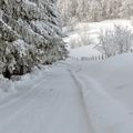 Partir au ski en voiture : ne rien oublier !