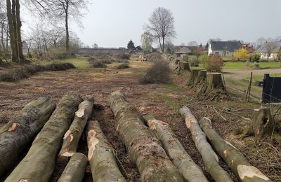 PATRIMOINE NORMAND EN PERIL/28: MASSACRE à la tronçonneuse d'un clos-masure cauchois à Autretot.