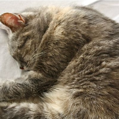 NOUVELLES CRÉATIONS AVEC MON TISSU TEINTE