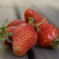 Première fraises du jardin...