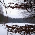 Forêt de Carnelle - étang gelé