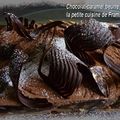 Gateau–mousse au chocolat, praliné et caramel