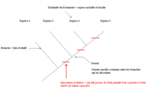 Des exos online auto-correctifs sur les arbres phylogénétiques