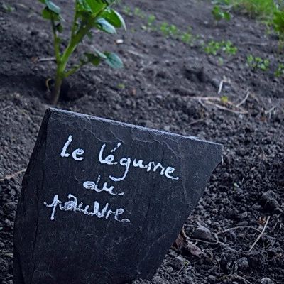 Pendant ce temps dans le jardin