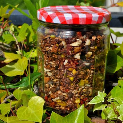 Granola au Chocolat et aux Fruits Secs 