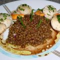 Salade tiède de lentillons de champagne  et  saint-jacques