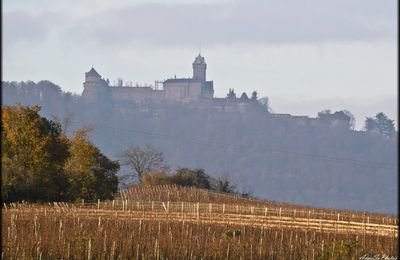 Alsace: Haut-Koenigsbourgh